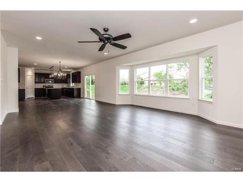 848 Fred Kemp Ct, Ballwin, MO 63021 photo 7