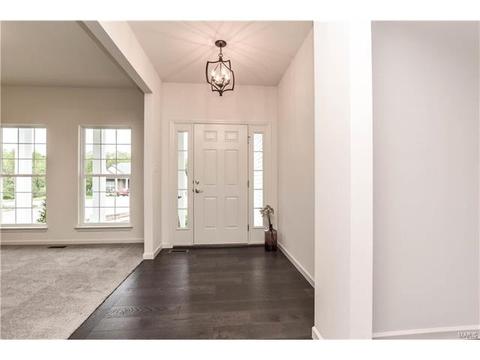 848 Fred Kemp Ct, Ballwin, MO 63021 photo 2
