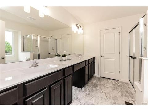 848 Fred Kemp Ct, Ballwin, MO 63021 photo 28