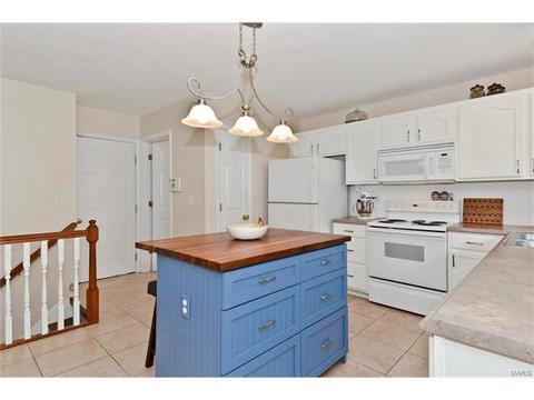 1495 Amber Wave Dr, O'fallon, MO 63366 photo 9
