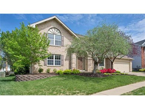 16124 Barrier Reef Ct, Grover, MO 63040 photo 1