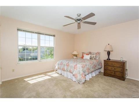 16124 Barrier Reef Ct, Grover, MO 63040 photo 17