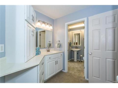 16124 Barrier Reef Ct, Grover, MO 63040 photo 19