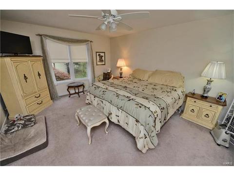 548 Princeway, Ballwin, MO 63011 photo 21