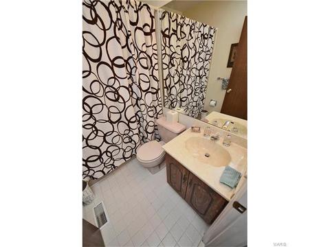 548 Princeway, Ballwin, MO 63011 photo 20