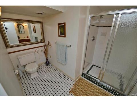 548 Princeway, Ballwin, MO 63011 photo 28