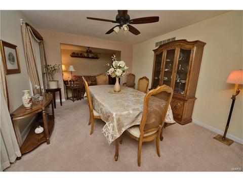 548 Princeway, Ballwin, MO 63011 photo 17