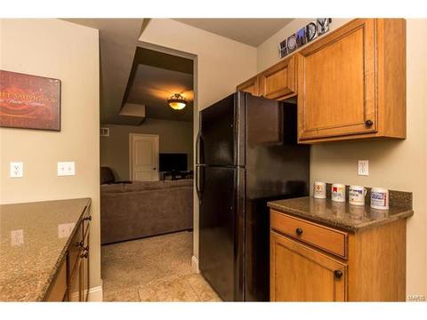 31 Orchid Ct, O'fallon, MO 63366 photo 41