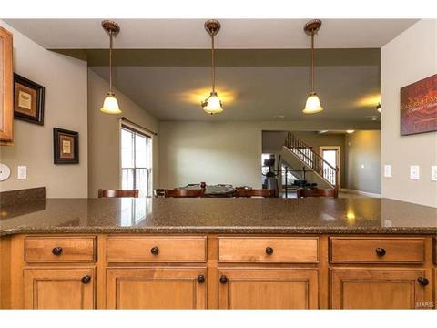 31 Orchid Ct, O'fallon, MO 63366 photo 38
