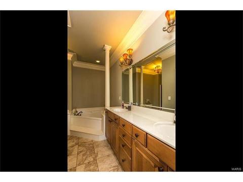 31 Orchid Ct, O'fallon, MO 63366 photo 20