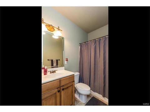 31 Orchid Ct, O'fallon, MO 63366 photo 25