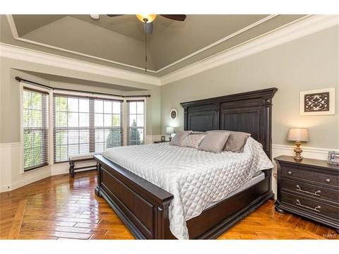 31 Orchid Ct, O'fallon, MO 63366 photo 19