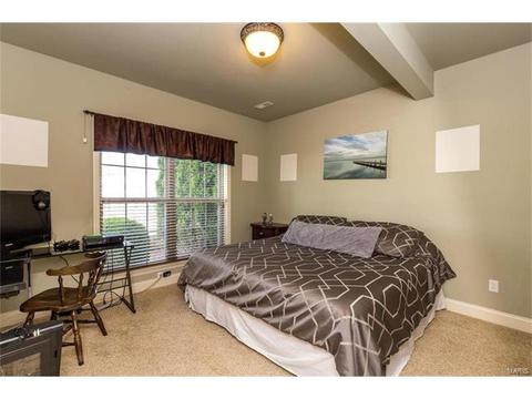 31 Orchid Ct, O'fallon, MO 63366 photo 28