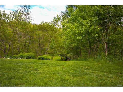 725 Ridgeside Dr #H, Ballwin, MO 63021 photo 26