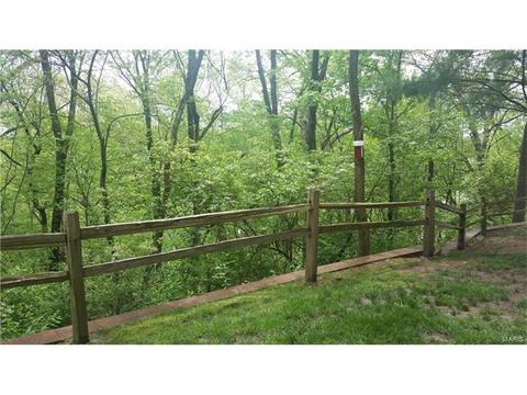 725 Ridgeside Dr #H, Ballwin, MO 63021 photo 25