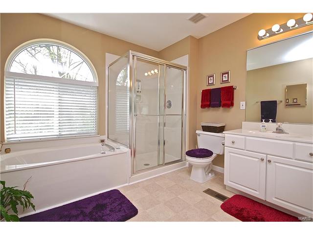102 Waldens Oak Ct, Ballwin, MO 63011 photo 20