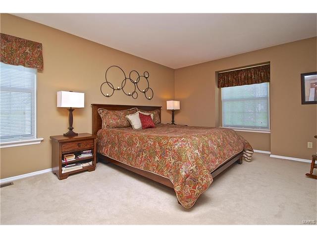 102 Waldens Oak Ct, Ballwin, MO 63011 photo 19