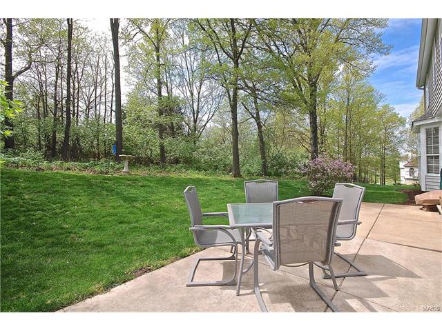 102 Waldens Oak Ct, Ballwin, MO 63011 photo 37