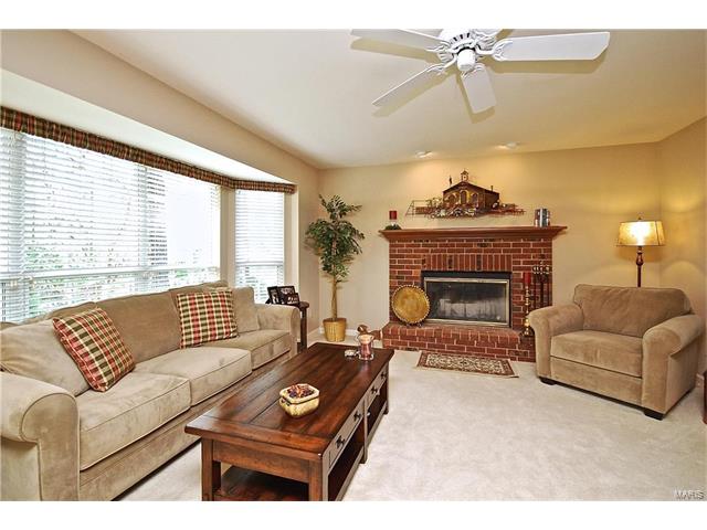 102 Waldens Oak Ct, Ballwin, MO 63011 photo 10