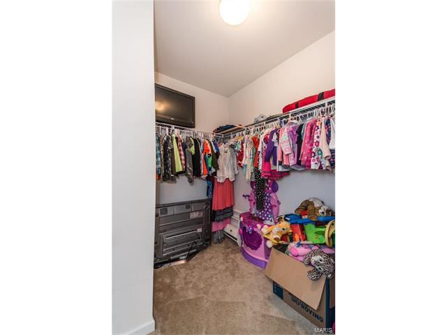 407 Wild Oak Dr, O'fallon, MO 63368 photo 15