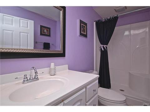 421 Kacey Ln, Ballwin, MO 63021 photo 44