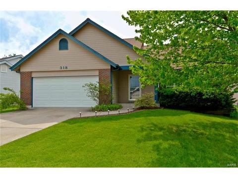 318 Bristol Pl, O'fallon, MO 63366 photo 25