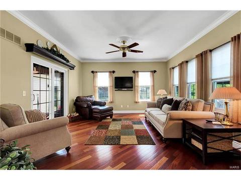 705 Southern Hills Dr, Eureka, MO 63025 photo 14