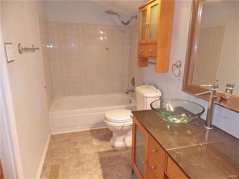 628 Walnut Ridge Dr, Ballwin, MO 63021 photo 26