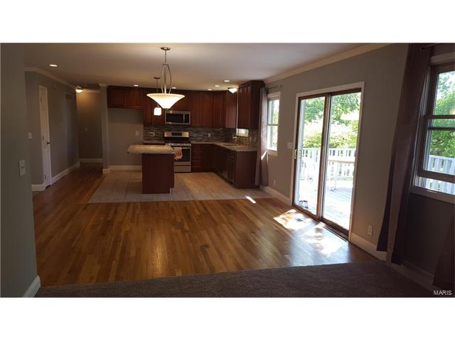 945 Active, Saint Louis, MO 63146 photo 11