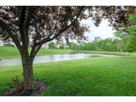 635 Avondale Dr, Saint Peters, MO 63376 photo 39