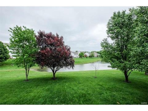 635 Avondale Dr, Saint Peters, MO 63376 photo 37
