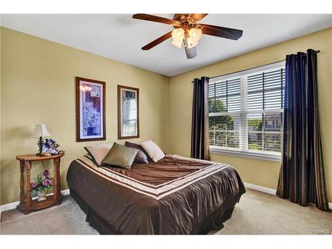 1065 Green Briar Hills Dr, O'fallon, MO 63366 photo 30