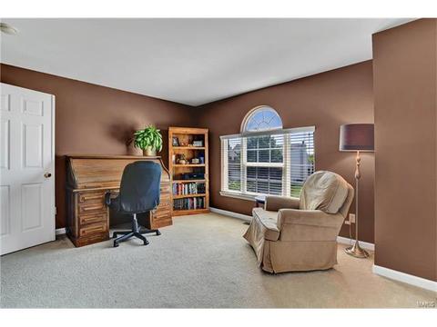 1065 Green Briar Hills Dr, O'fallon, MO 63366 photo 20