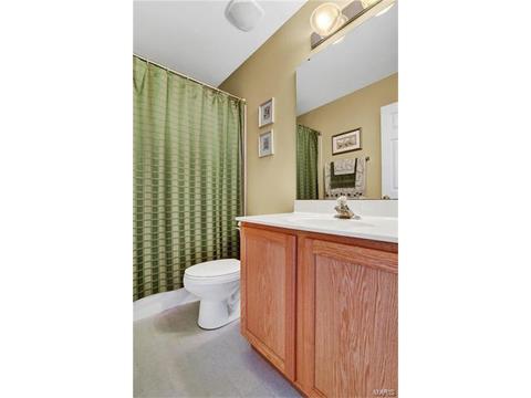 1065 Green Briar Hills Dr, O'fallon, MO 63366 photo 31
