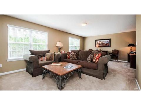 1125 Kiefer Ridge Ct, Ballwin, MO 63021 photo 26