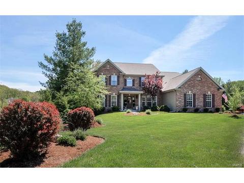 1125 Kiefer Ridge Ct, Ballwin, MO 63021 photo 4