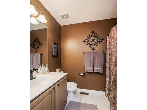 1125 Kiefer Ridge Ct, Ballwin, MO 63021 photo 39