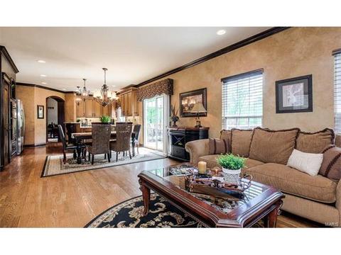 1125 Kiefer Ridge Ct, Ballwin, MO 63021 photo 16
