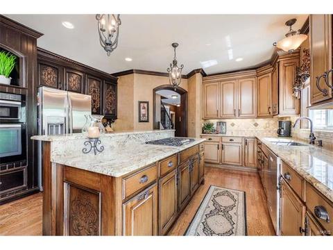 1125 Kiefer Ridge Ct, Ballwin, MO 63021 photo 19