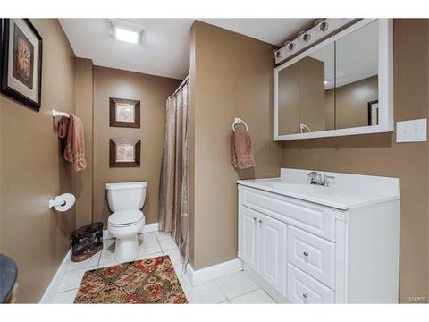 1125 Kiefer Ridge Ct, Ballwin, MO 63021 photo 31