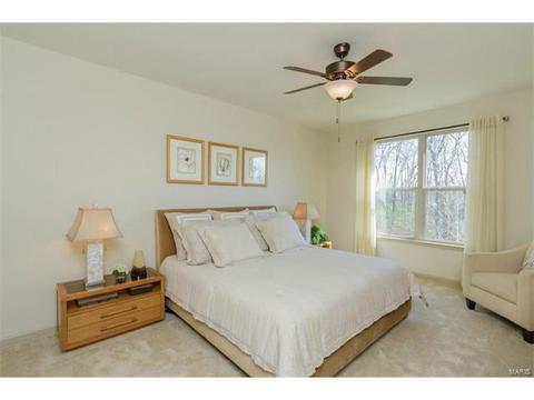 248 Thorn Brook Dr, O'fallon, MO 63366 photo 6