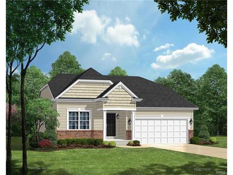 248 Thorn Brook Dr, O'fallon, MO 63366 photo 1