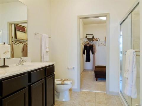248 Thorn Brook Dr, O'fallon, MO 63366 photo 12