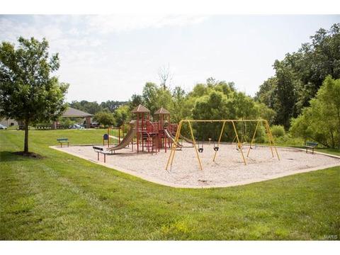 248 Thorn Brook Dr, O'fallon, MO 63366 photo 17