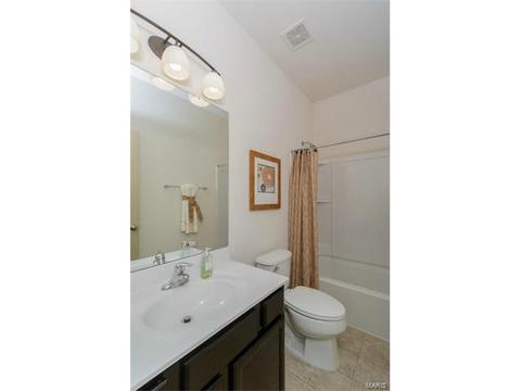 248 Thorn Brook Dr, O'fallon, MO 63366 photo 9