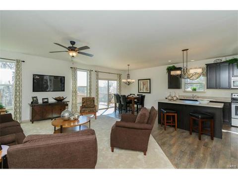 248 Thorn Brook Dr, O'fallon, MO 63366 photo 2