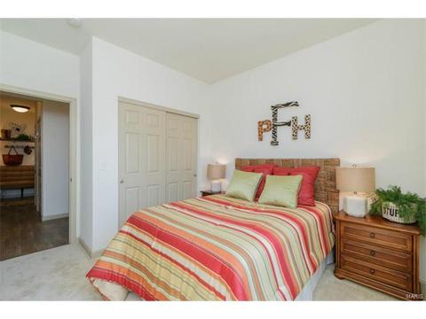 248 Thorn Brook Dr, O'fallon, MO 63366 photo 10