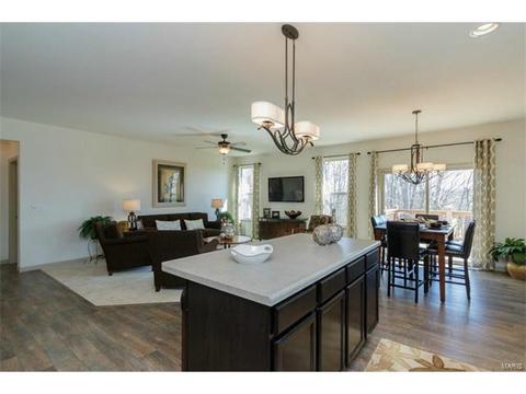 248 Thorn Brook Dr, O'fallon, MO 63366 photo 5