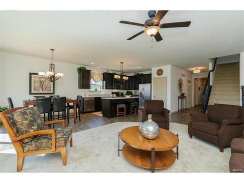 248 Thorn Brook Dr, O'fallon, MO 63366 photo 3