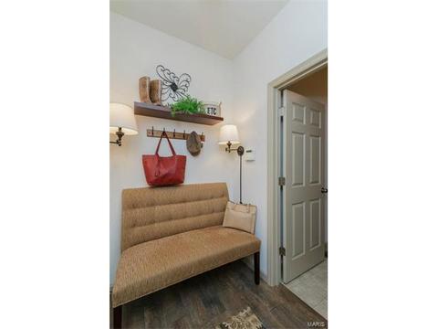 248 Thorn Brook Dr, O'fallon, MO 63366 photo 11